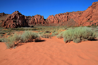 photo credit: arbyreed via photopin cc